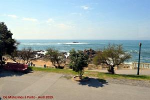 0773 - De Matosinhos a Porto